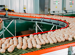 Egg conveyor