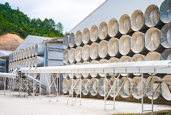 Outside manure conveyor