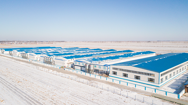 大牧人助力吉林蛋雞產業園打造百萬蛋雞養殖示范基地